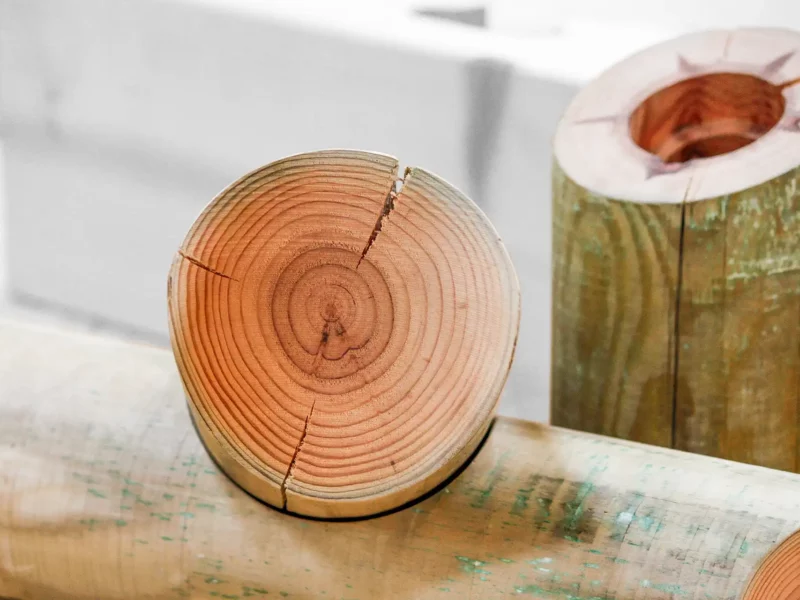 Querschnitt eines Rundholzes mit Trocknungsrissen und grünlicher Verfärbung durch Kupfertränkung, weitere imprägnierte Pfähle im Hintergrund.