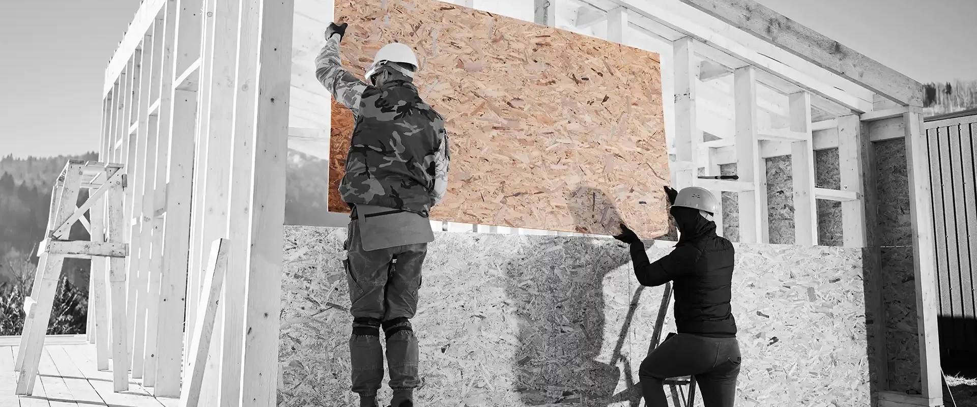 Zwei Bauarbeiter montieren eine OSB als Wandbeplankung an einer Holzrahmenkonstruktion