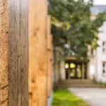 Front garden of the IHD Dresden: row of solid oak posts on concrete foundations on the left, paved path leading to the building entrance with steps and multi-storey façade in the background.