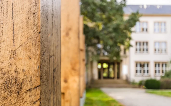 Vorgarten des IHD Dresden: Reihe massiver Eichenpfosten auf Betonfundamenten links, gepflasterter Weg führt zum Gebäudeeingang mit Treppe und mehrgeschossiger Fassade im Hintergrund.