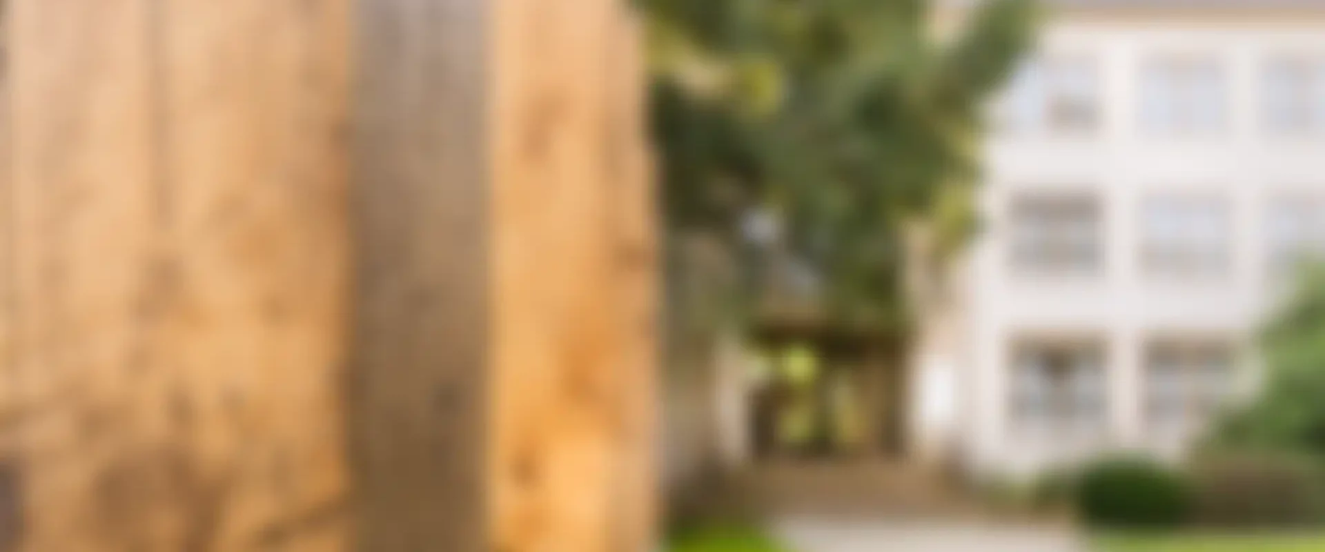 Front garden of the IHD Dresden: row of solid oak posts on concrete foundations on the left, paved path leading to the building entrance with steps and multi-storey façade in the background.