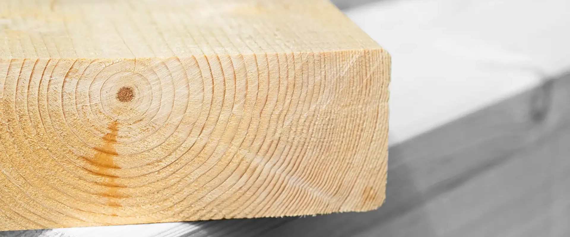 Nahaufnahme einer Hirnholz Kante eines Balkens mit deutlich sichtbaren Jahresringen.