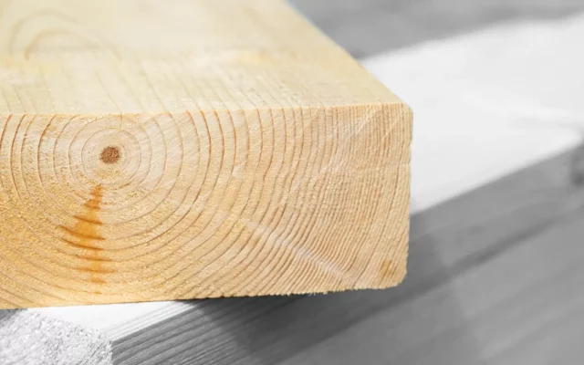 Nahaufnahme einer Hirnholz Kante eines Balkens mit deutlich sichtbaren Jahresringen.