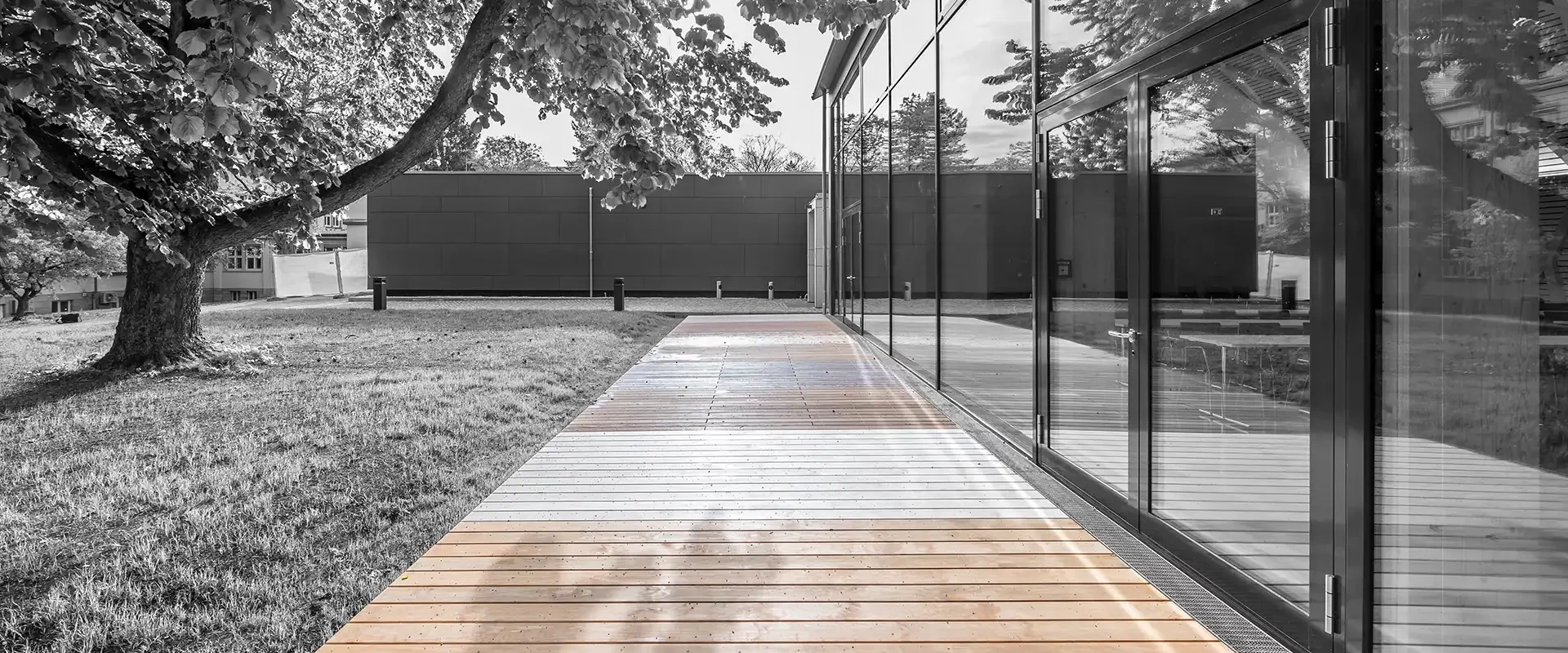 Perspective along a timber deck in front of a glazed facade, sunlight through a large tree casting shadows across the boards.