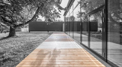 Perspective along a timber deck in front of a glazed facade, sunlight through a large tree casting shadows across the boards.